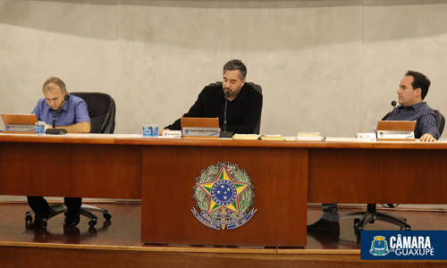 Projeto de Lei nº 11/2024 é de autoria dos vereadores Danilo Martins e Gustavo Vinícius Silveira de Paula. (Foto: Câmara Municipal)